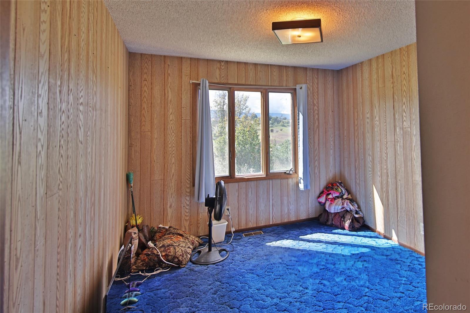 MLS Image #10 for 15510  59 1/2 road,collbran, Colorado