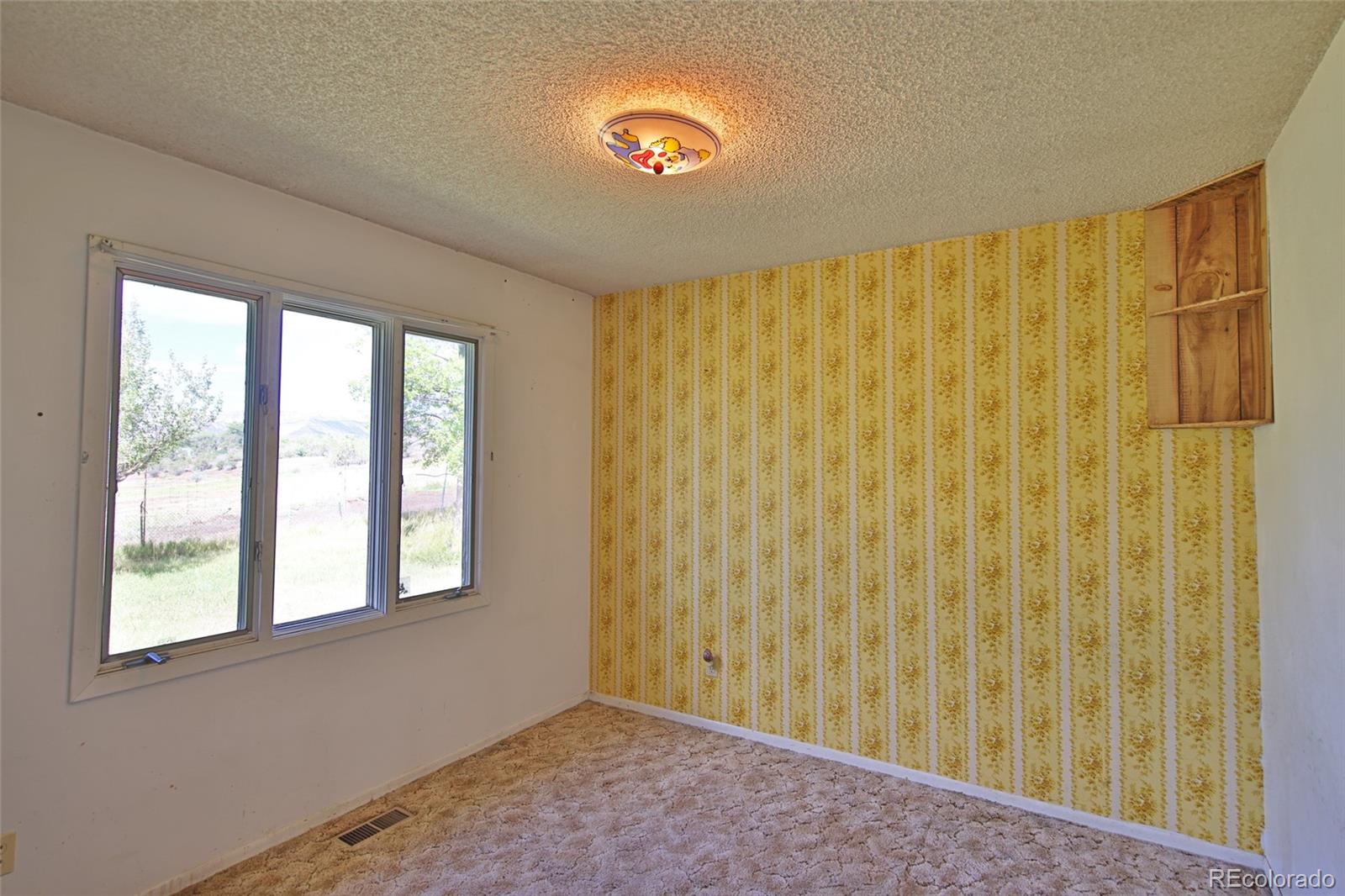 MLS Image #11 for 15510  59 1/2 road,collbran, Colorado