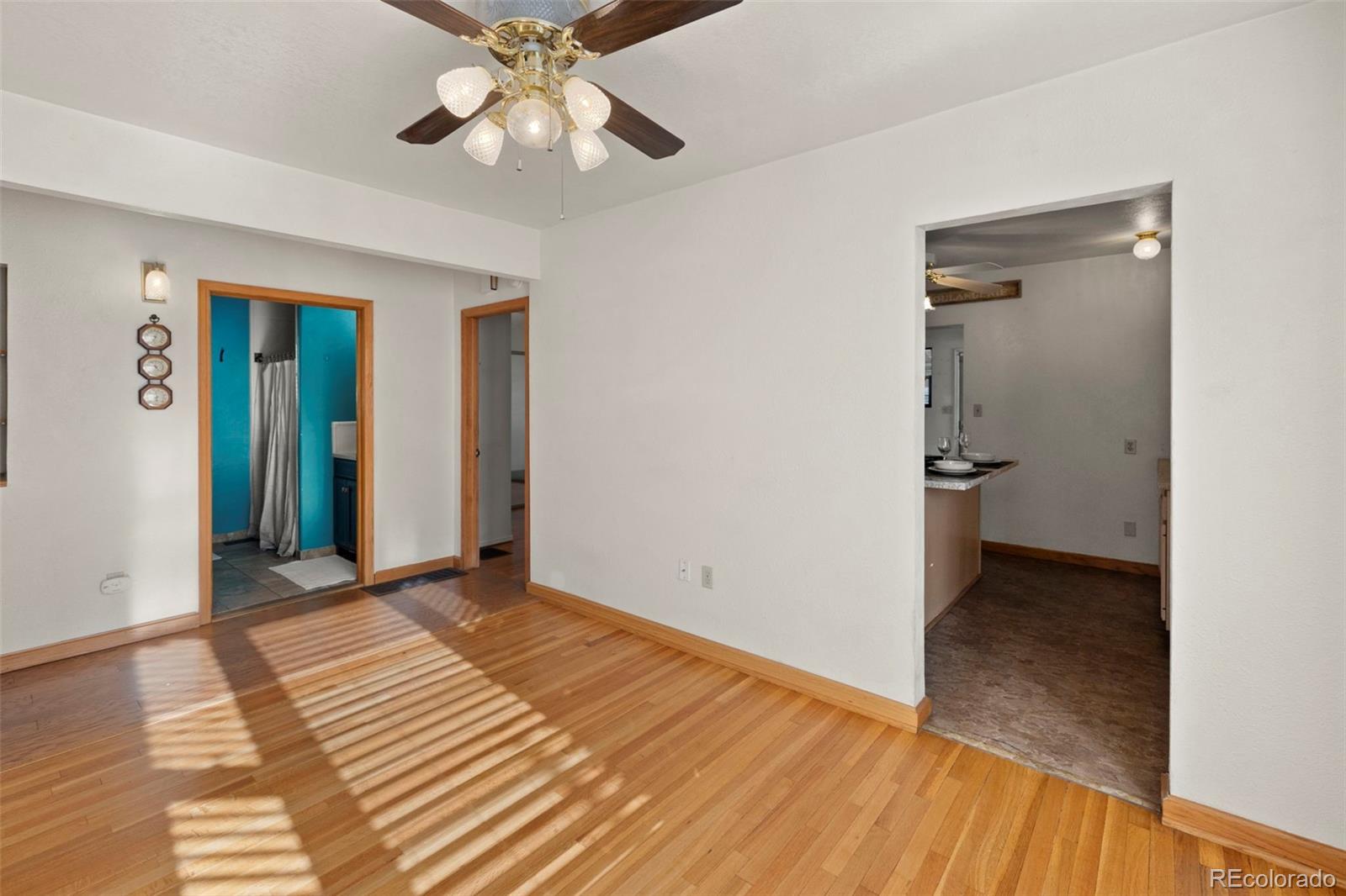 MLS Image #16 for 229 e washington street,colorado springs, Colorado