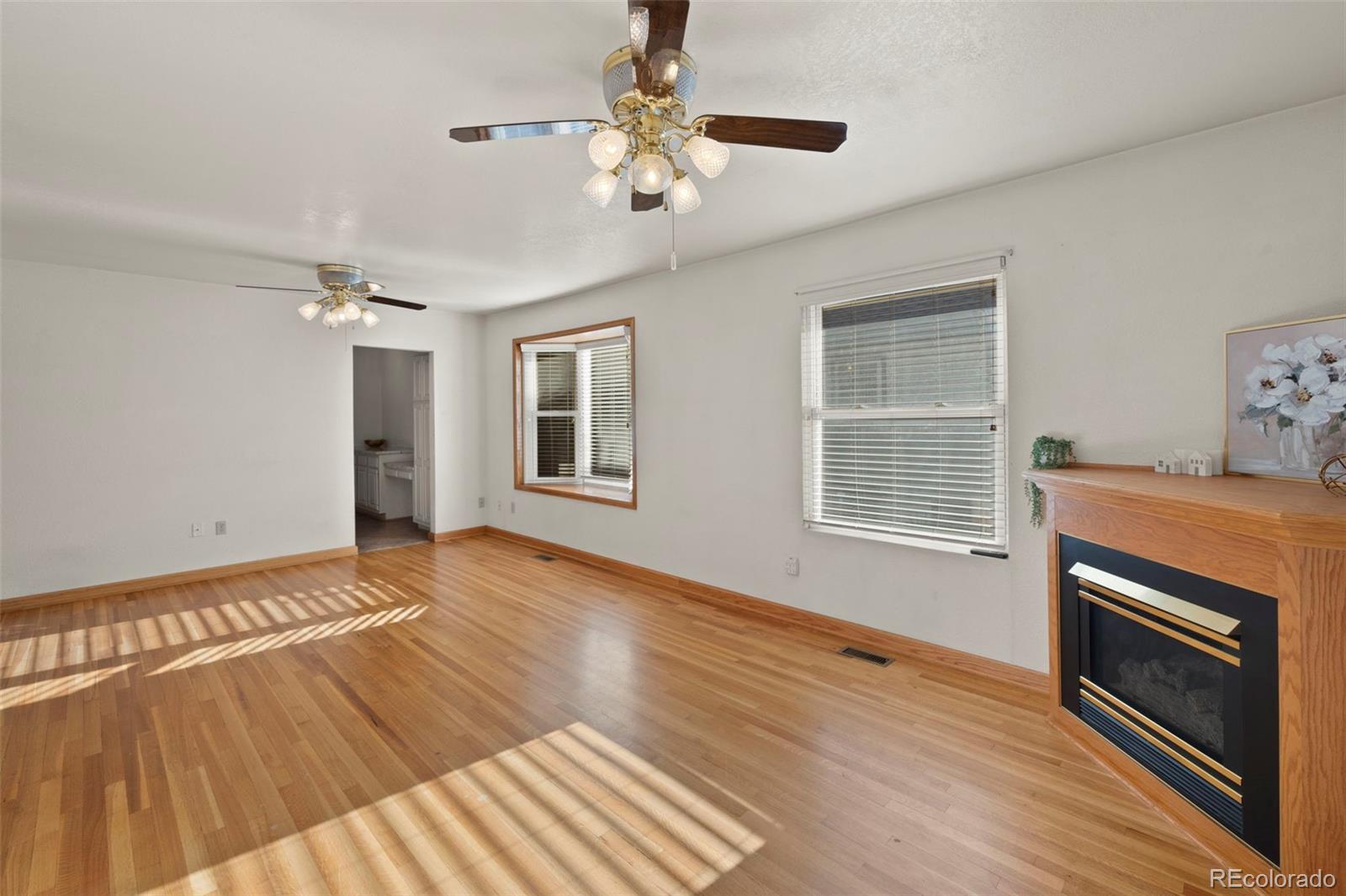 MLS Image #8 for 229 e washington street,colorado springs, Colorado
