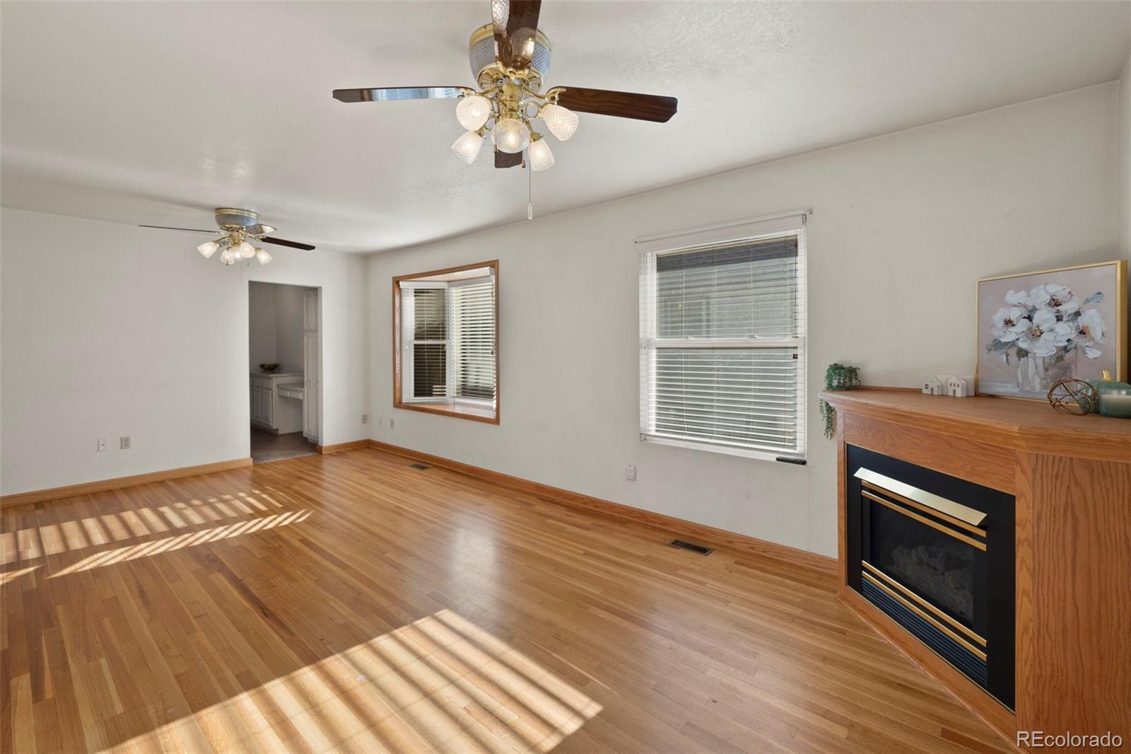 MLS Image #9 for 229 e washington street,colorado springs, Colorado