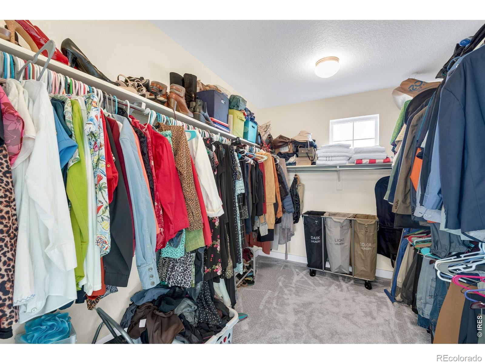 MLS Image #34 for 2338  tyrrhenian circle,longmont, Colorado
