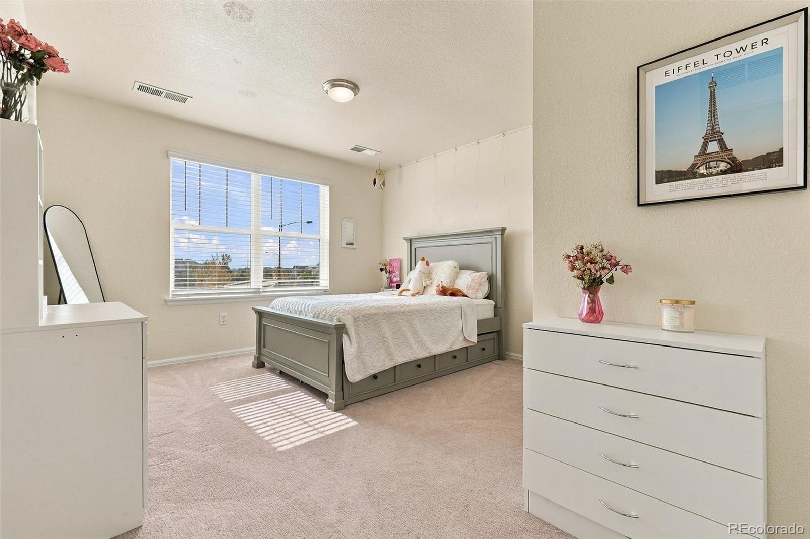 MLS Image #26 for 13399 e 110th avenue,commerce city, Colorado