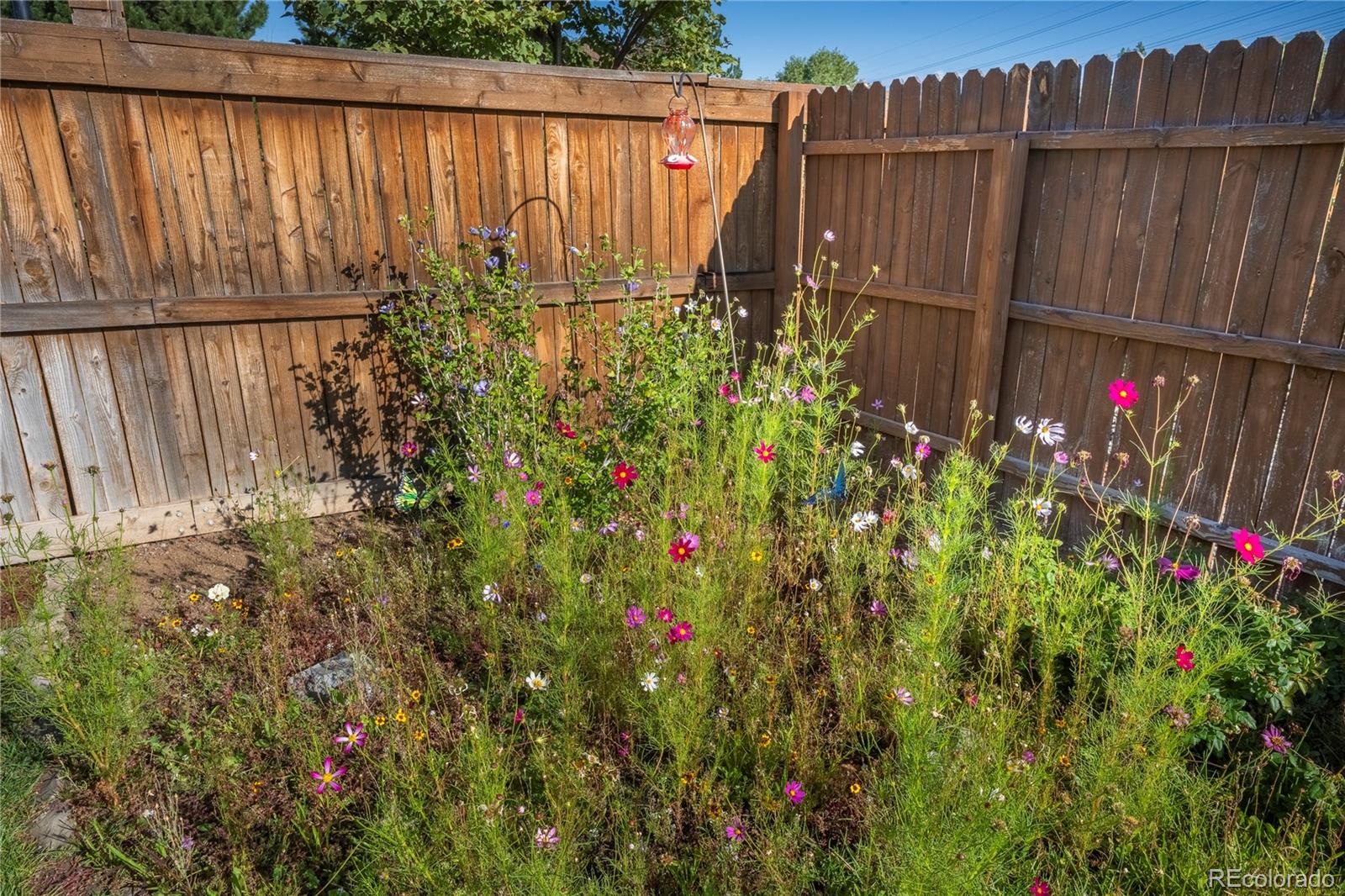 MLS Image #37 for 4761  native birch lane,castle rock, Colorado