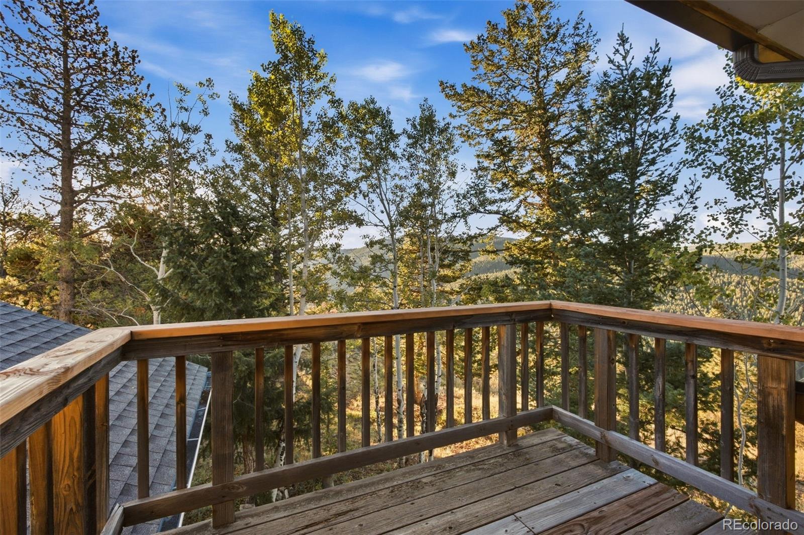 MLS Image #8 for 129  sky view drive,nederland, Colorado
