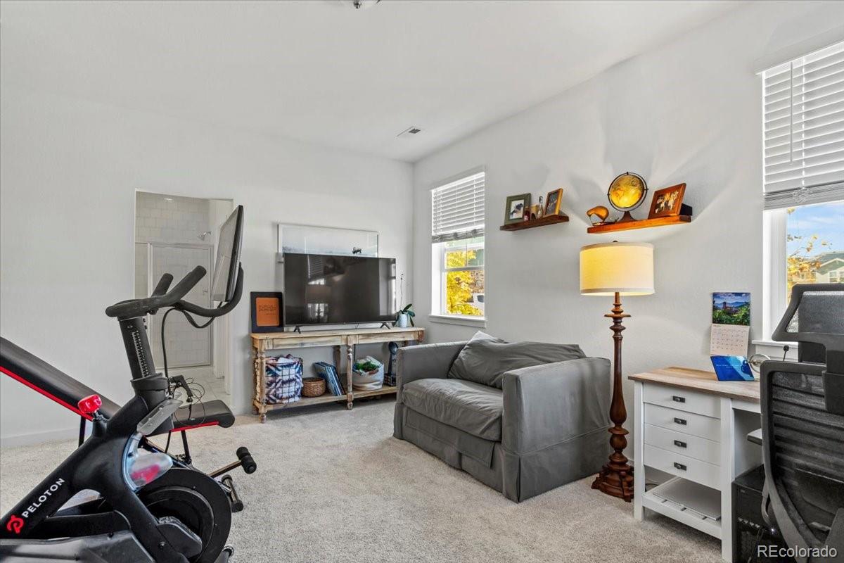 MLS Image #14 for 9790  mount kataka point,littleton, Colorado