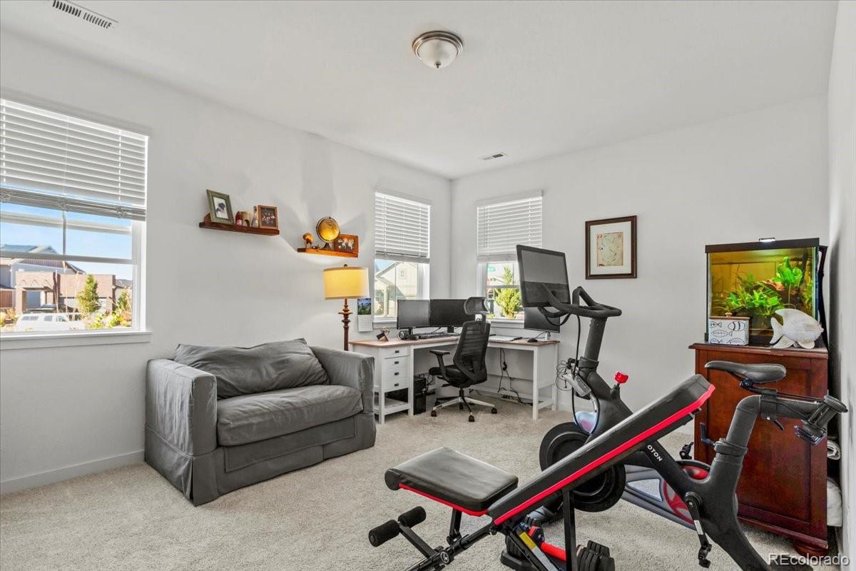 MLS Image #15 for 9790  mount kataka point,littleton, Colorado