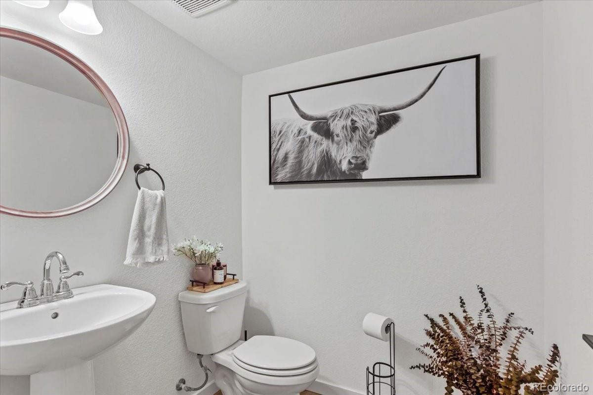 MLS Image #16 for 9790  mount kataka point,littleton, Colorado
