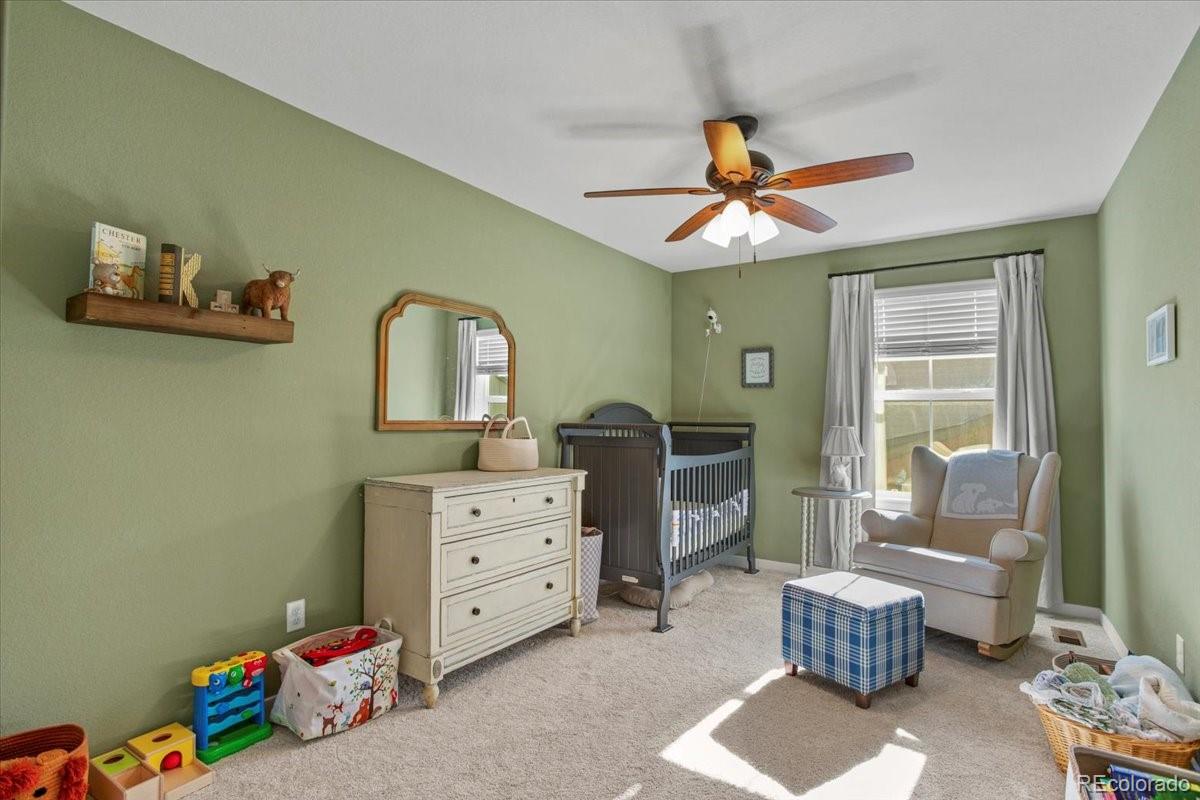 MLS Image #17 for 9790  mount kataka point,littleton, Colorado