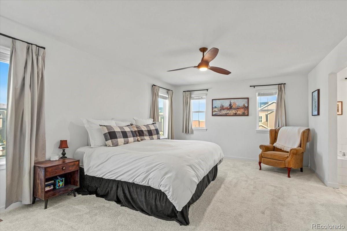 MLS Image #21 for 9790  mount kataka point,littleton, Colorado