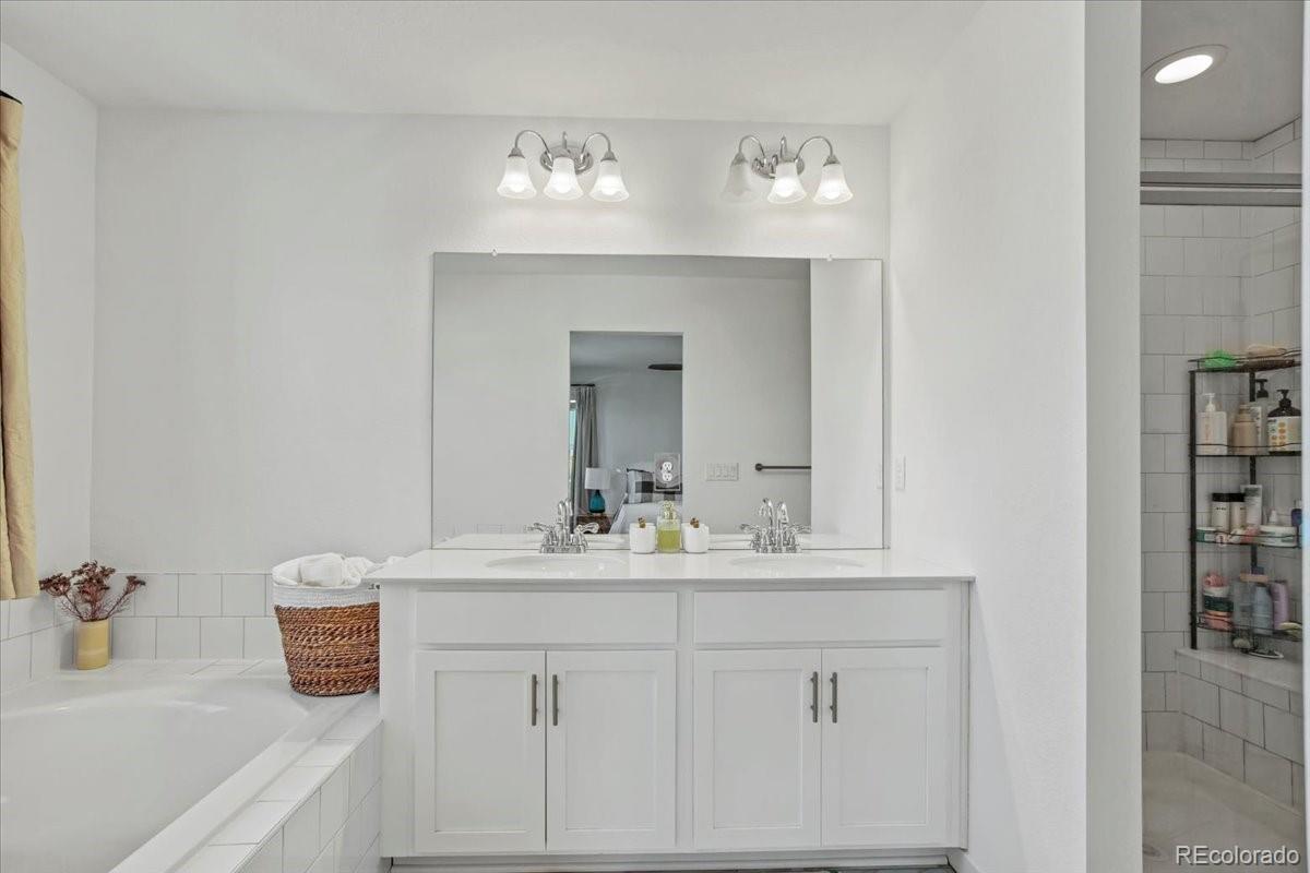 MLS Image #23 for 9790  mount kataka point,littleton, Colorado