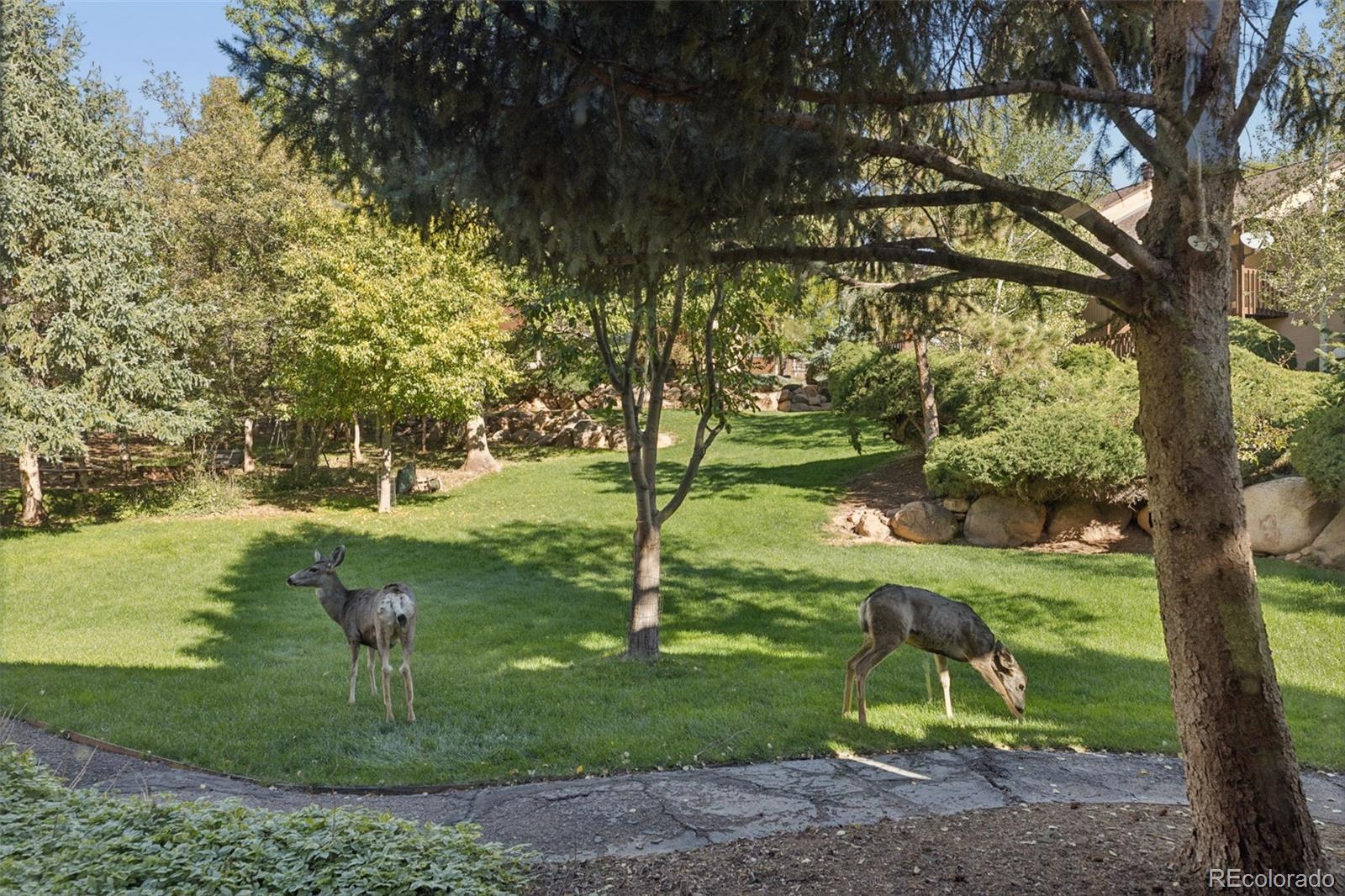 MLS Image #28 for 327  el paso boulevard,manitou springs, Colorado