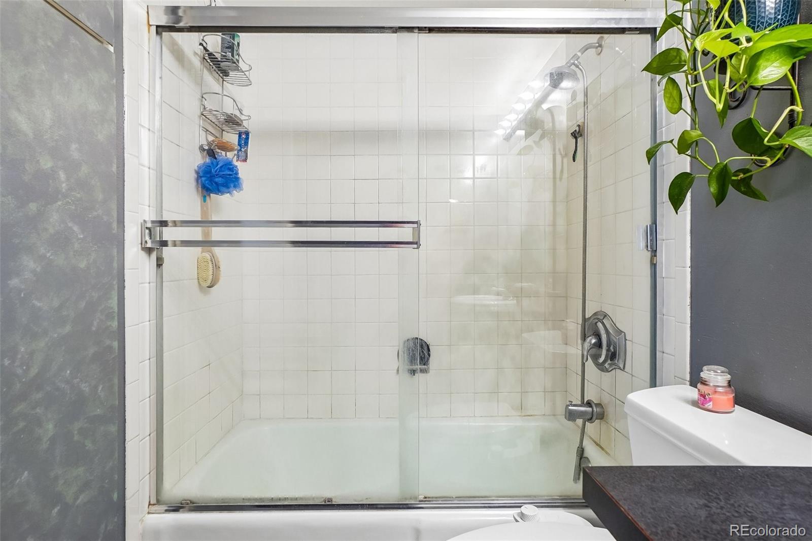 MLS Image #23 for 1313 n williams street,denver, Colorado
