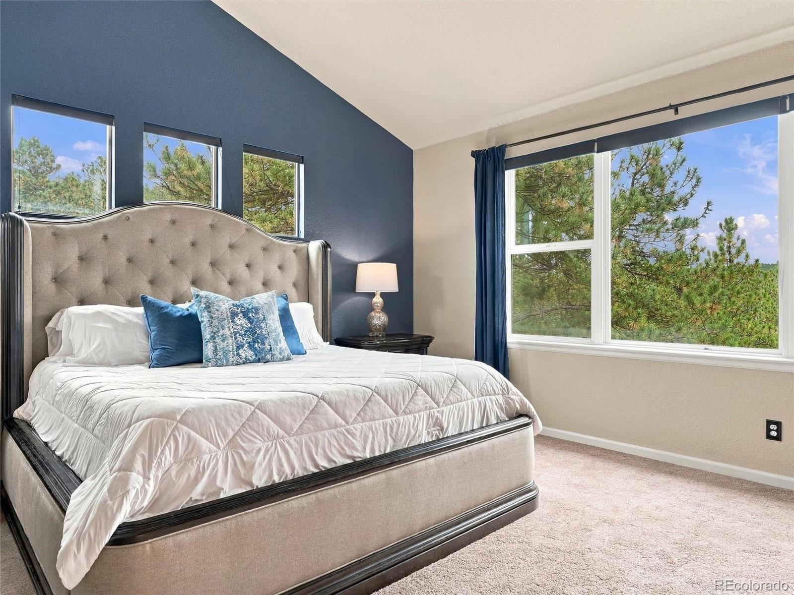 MLS Image #17 for 26245  sweetbriar trail,evergreen, Colorado