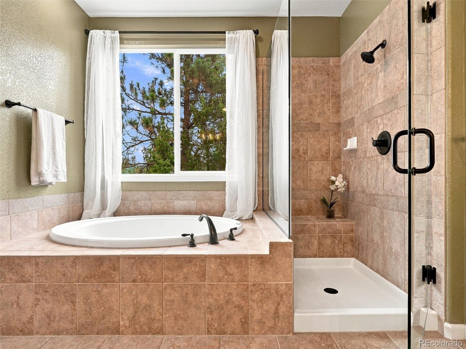 MLS Image #21 for 26245  sweetbriar trail,evergreen, Colorado