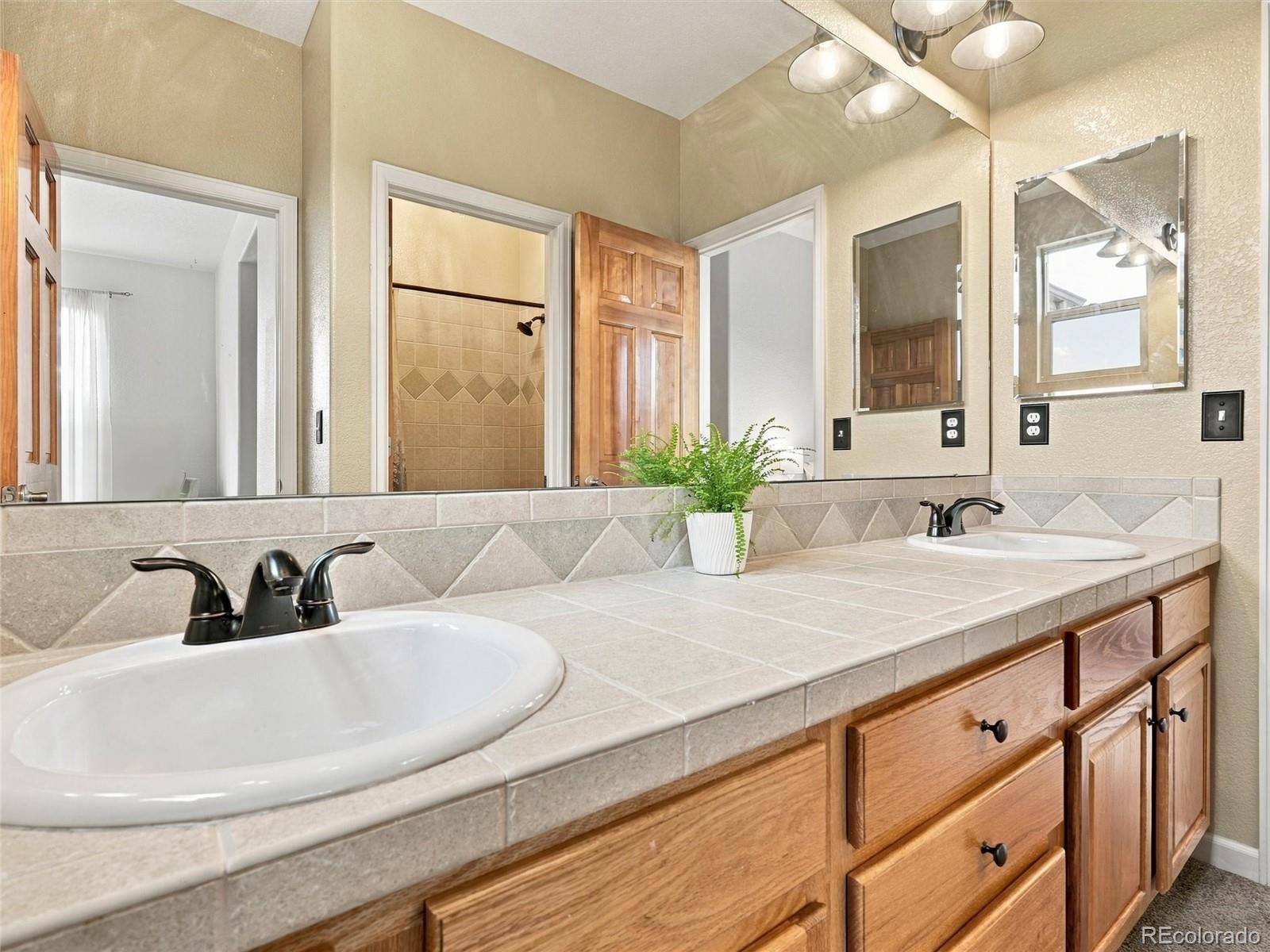 MLS Image #26 for 26245  sweetbriar trail,evergreen, Colorado