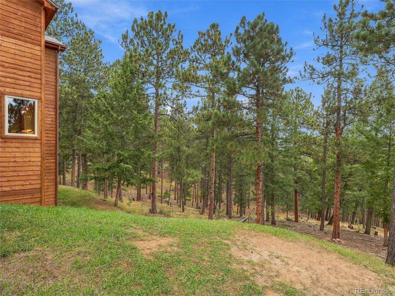 MLS Image #35 for 26245  sweetbriar trail,evergreen, Colorado