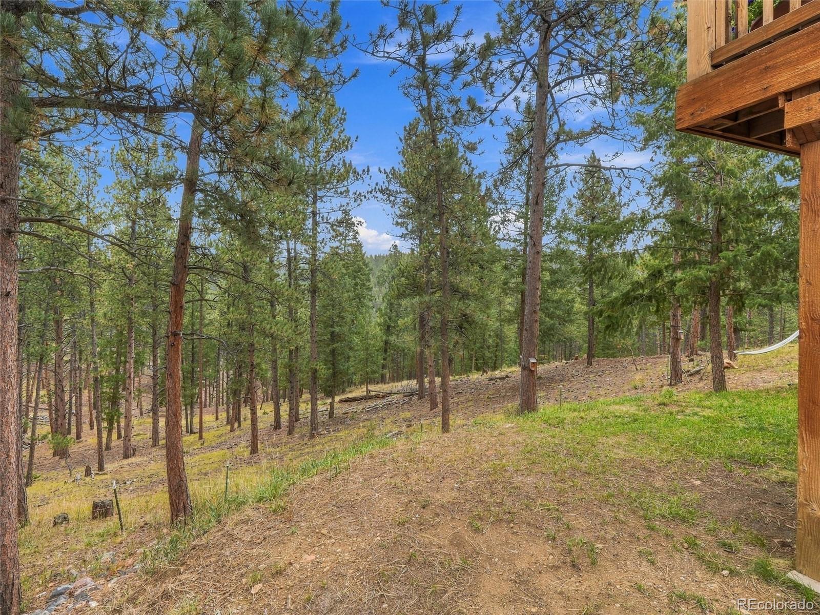 MLS Image #36 for 26245  sweetbriar trail,evergreen, Colorado
