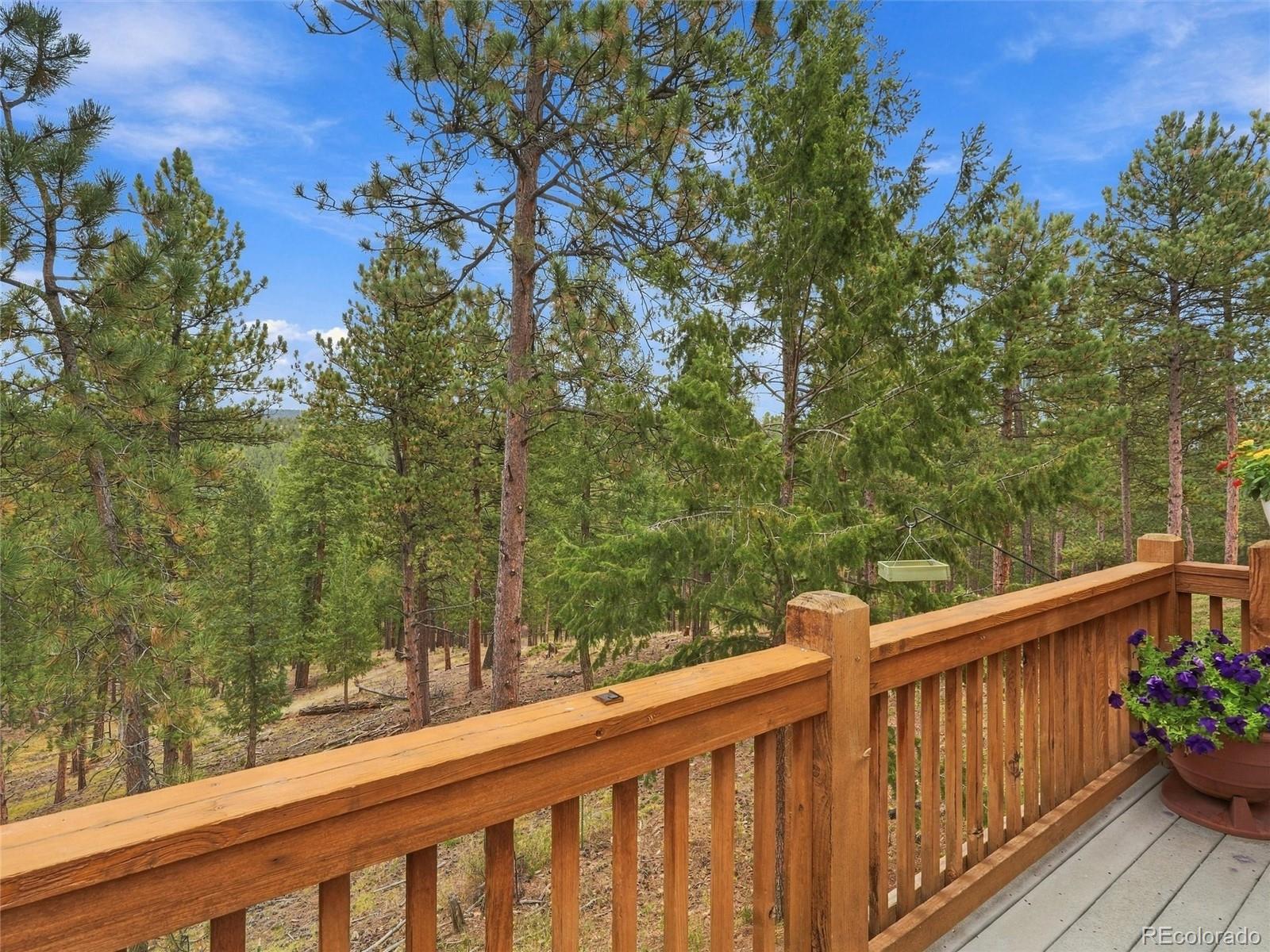 MLS Image #37 for 26245  sweetbriar trail,evergreen, Colorado