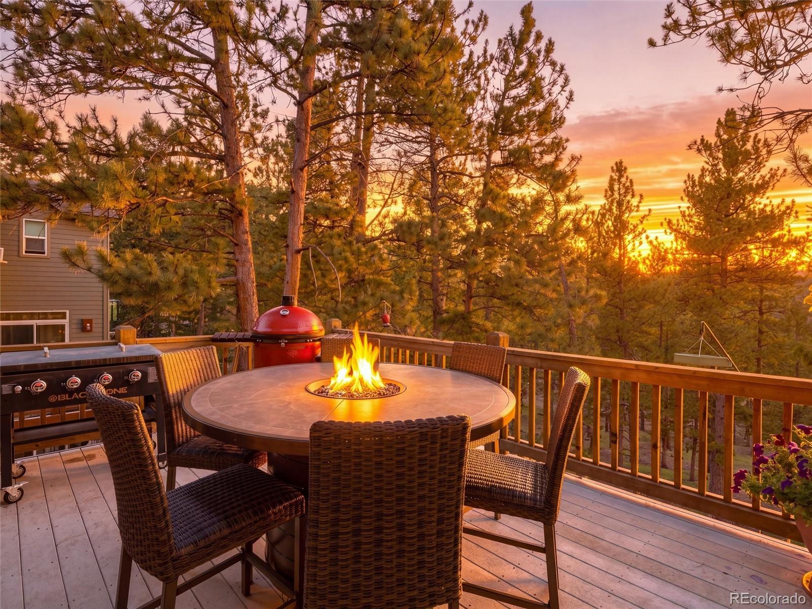MLS Image #38 for 26245  sweetbriar trail,evergreen, Colorado