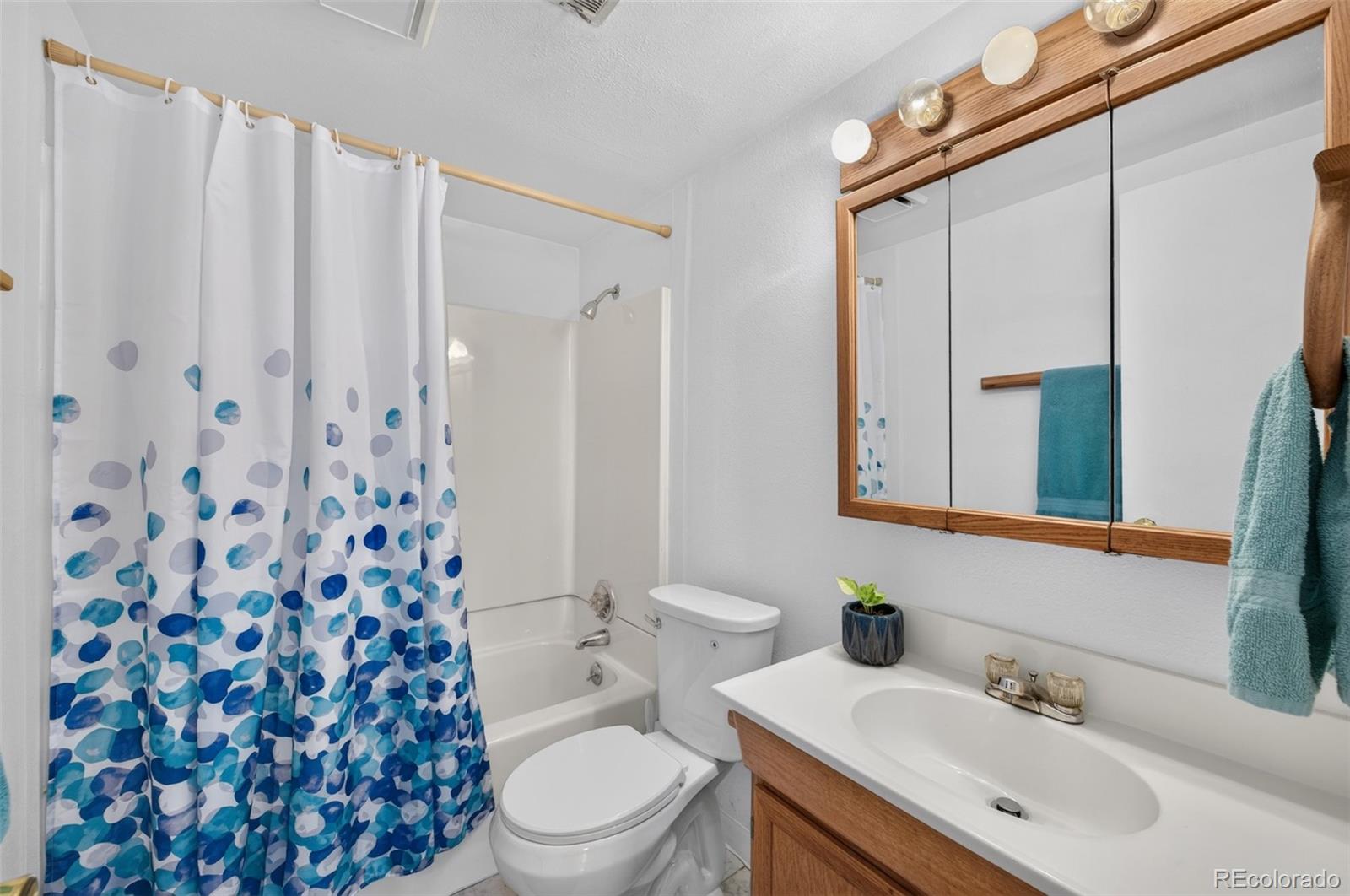 MLS Image #20 for 6356 w 66th avenue,arvada, Colorado