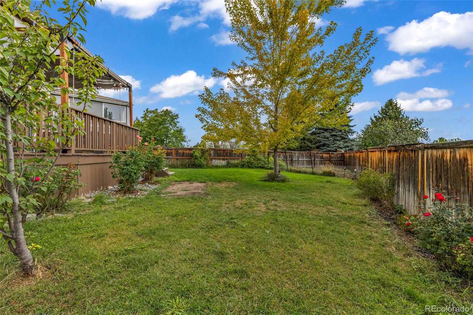 MLS Image #31 for 4335  lyndenwood point,highlands ranch, Colorado