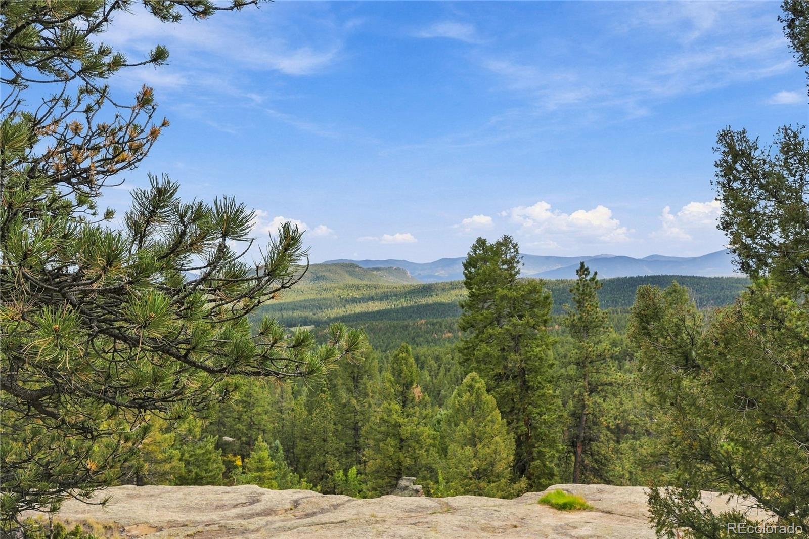 MLS Image #12 for 237  road b ,pine, Colorado