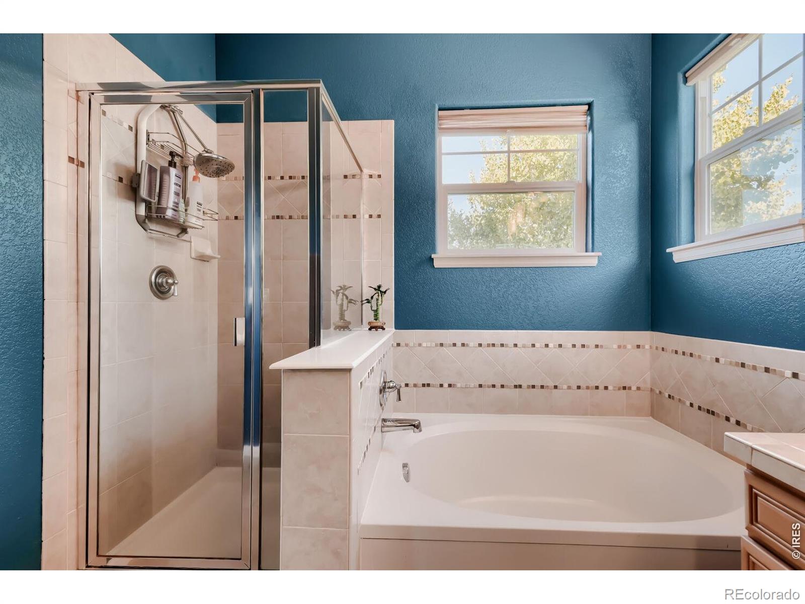 MLS Image #17 for 1927  windemere lane,erie, Colorado