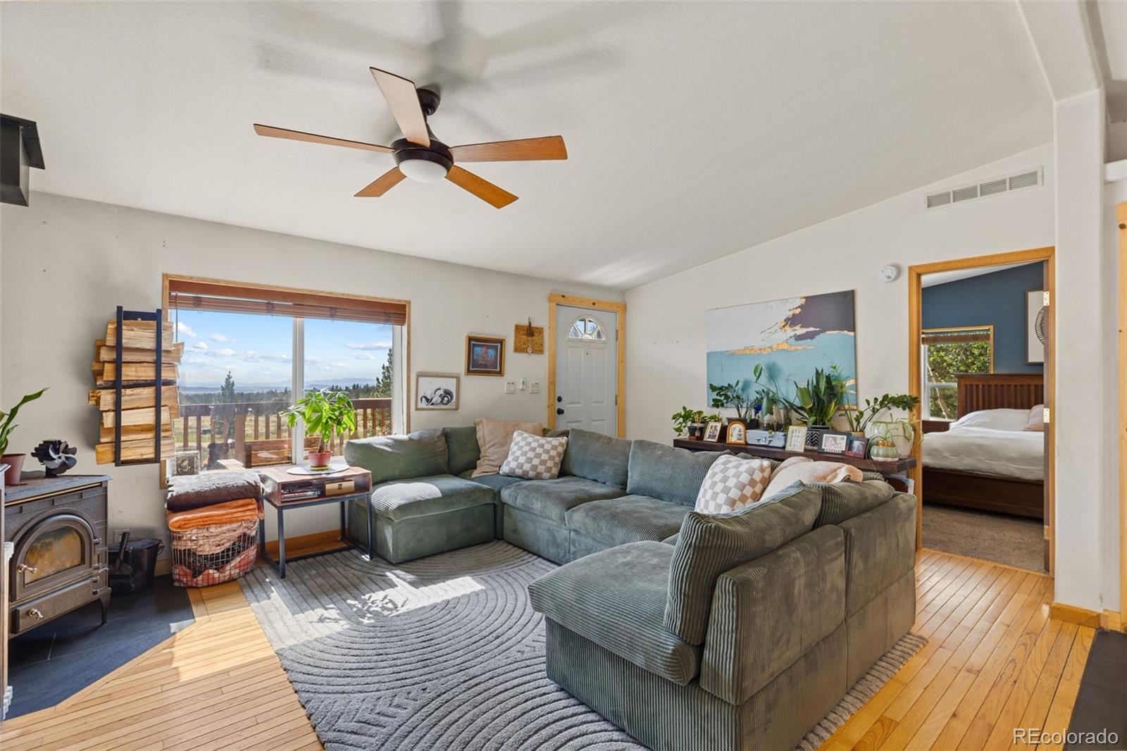 MLS Image #10 for 139  bluestem court,fairplay, Colorado