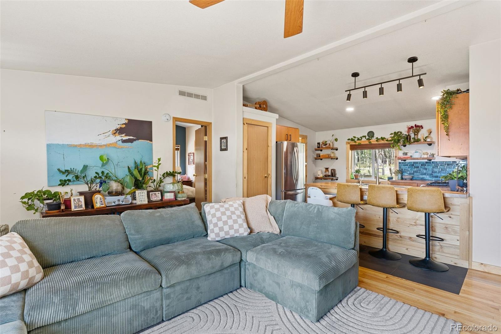 MLS Image #13 for 139  bluestem court,fairplay, Colorado