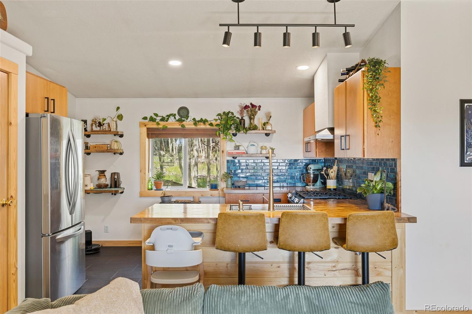 MLS Image #14 for 139  bluestem court,fairplay, Colorado