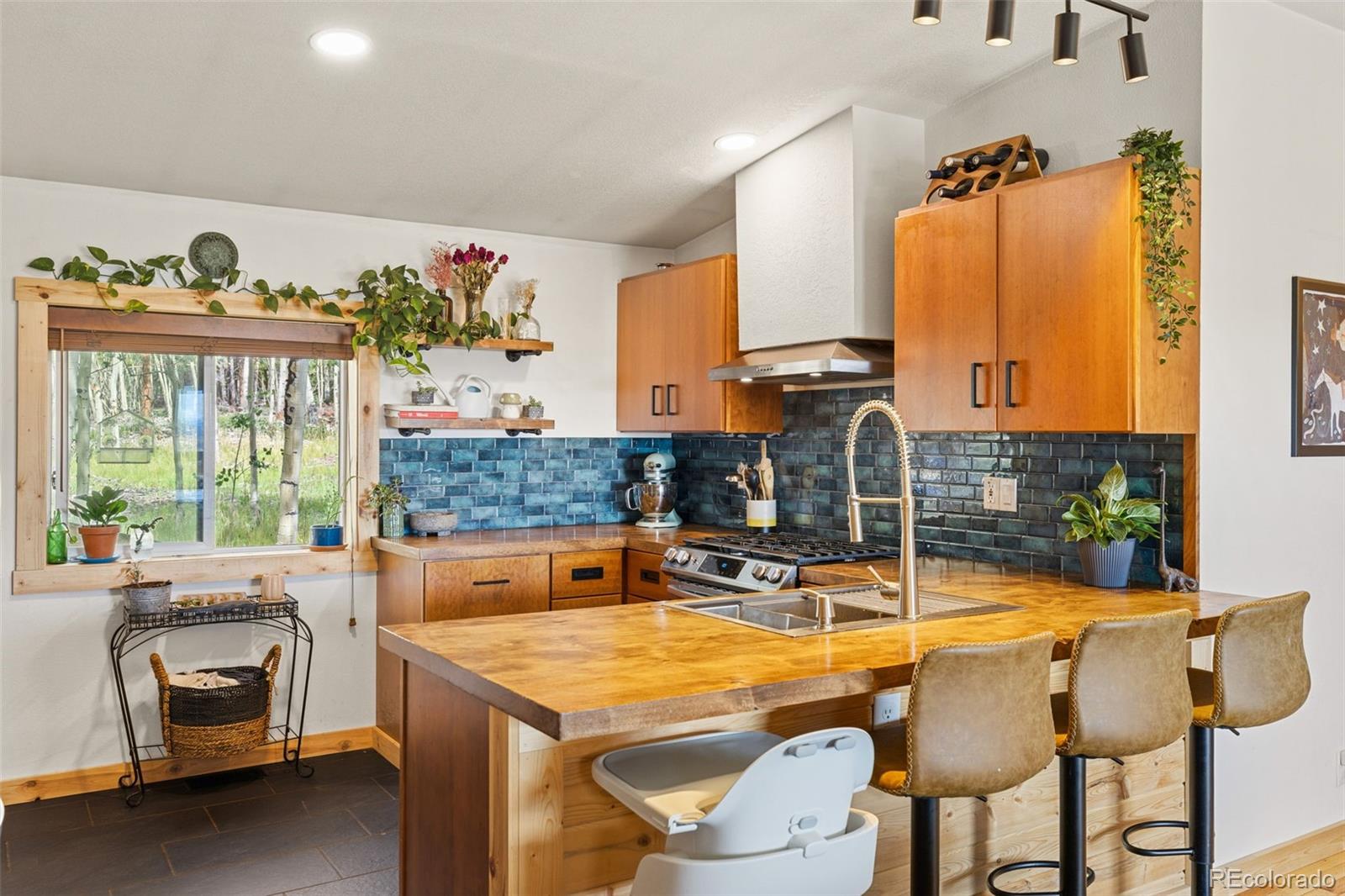 MLS Image #15 for 139  bluestem court,fairplay, Colorado