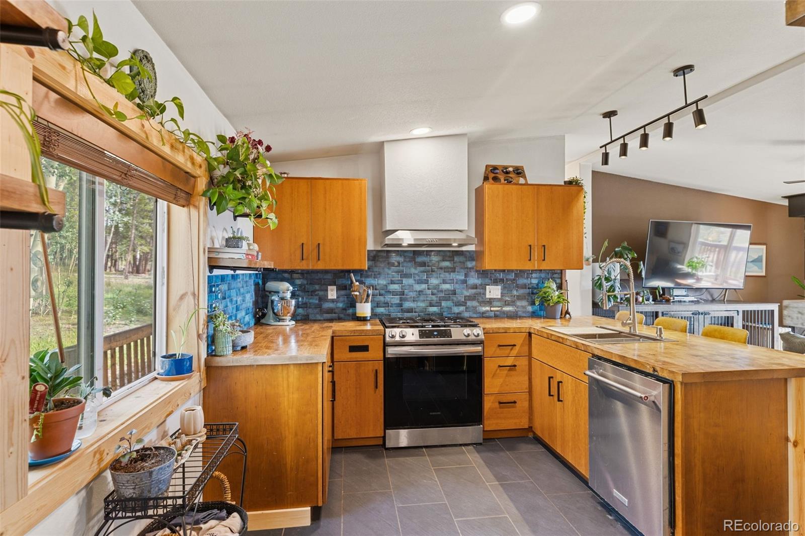 MLS Image #16 for 139  bluestem court,fairplay, Colorado