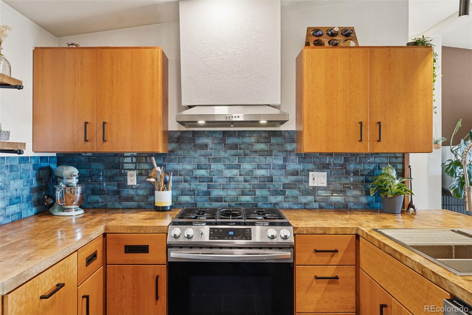 MLS Image #17 for 139  bluestem court,fairplay, Colorado