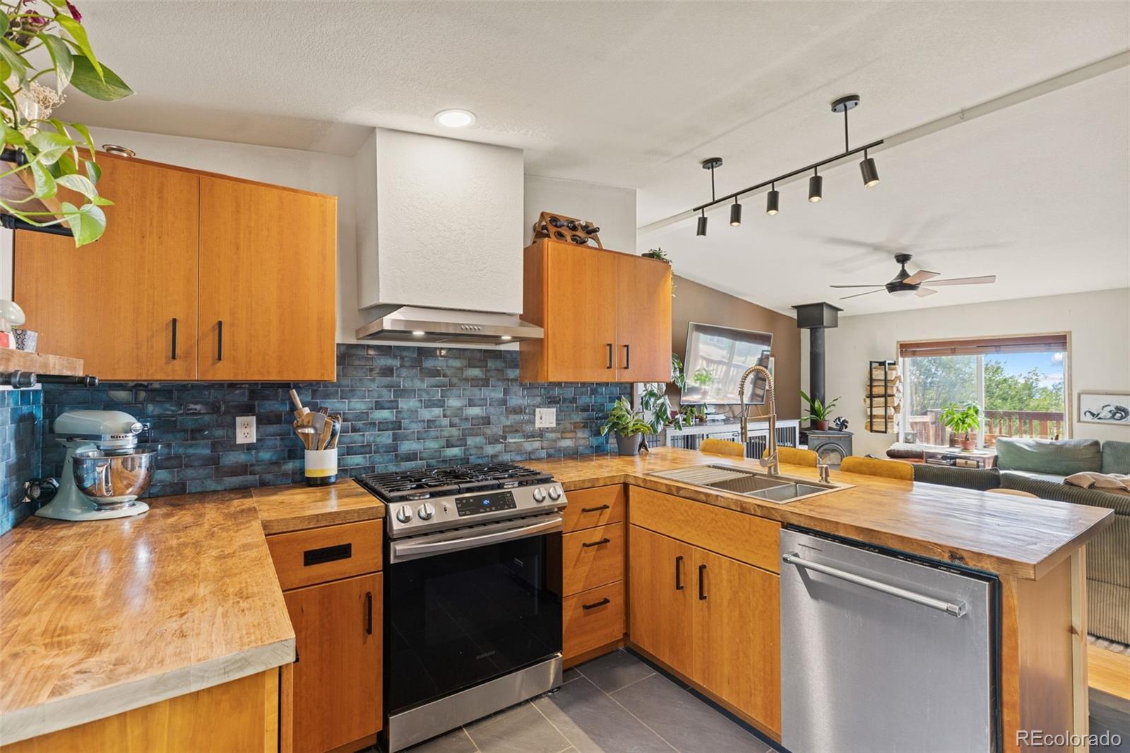 MLS Image #18 for 139  bluestem court,fairplay, Colorado