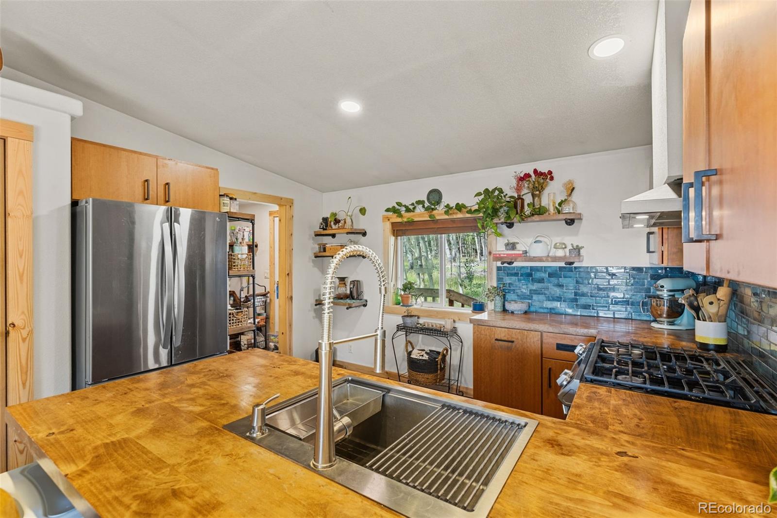 MLS Image #19 for 139  bluestem court,fairplay, Colorado