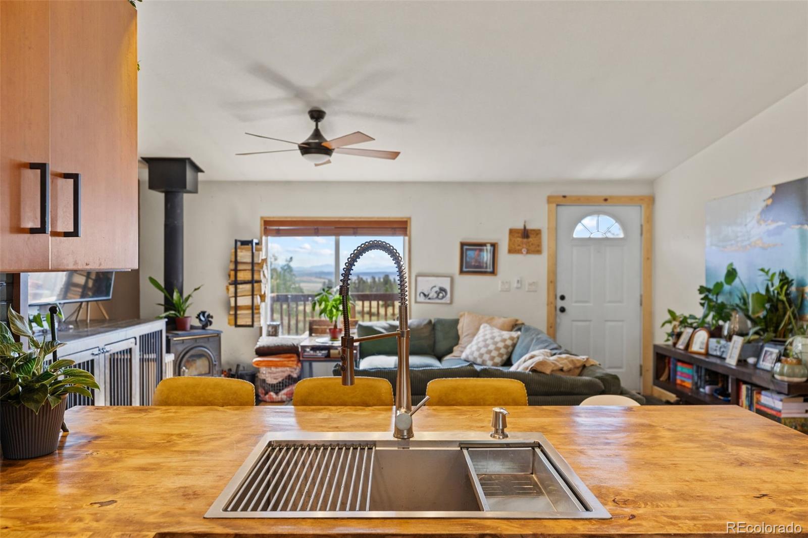MLS Image #20 for 139  bluestem court,fairplay, Colorado