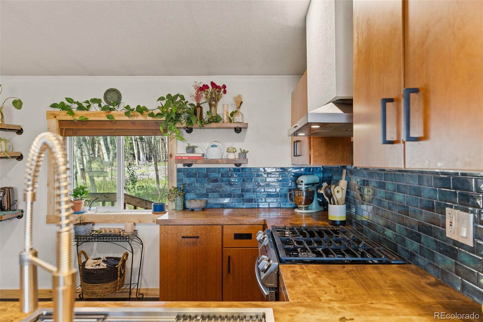 MLS Image #21 for 139  bluestem court,fairplay, Colorado