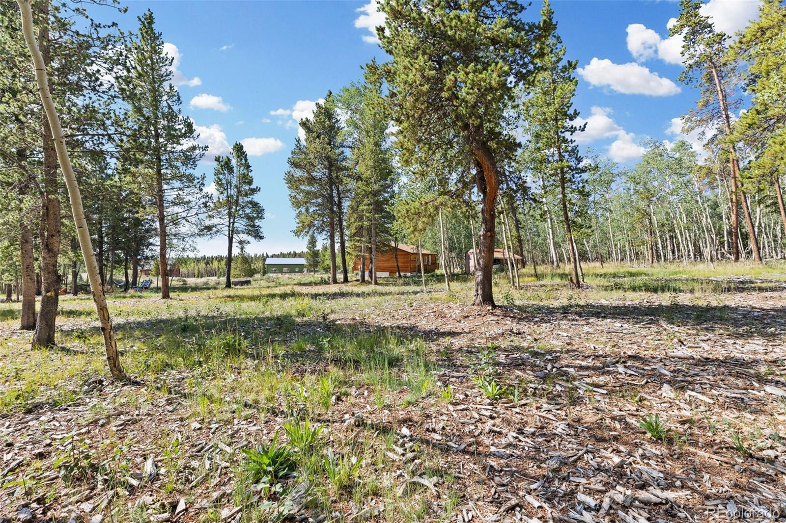 MLS Image #25 for 139  bluestem court,fairplay, Colorado