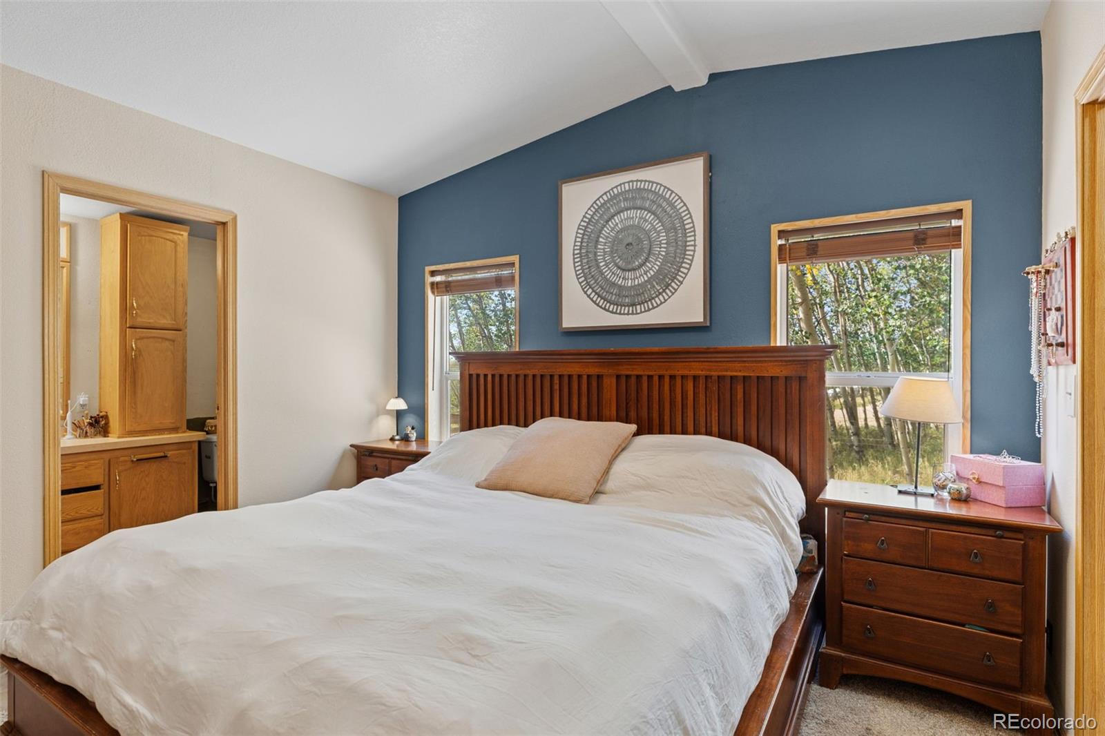 MLS Image #29 for 139  bluestem court,fairplay, Colorado