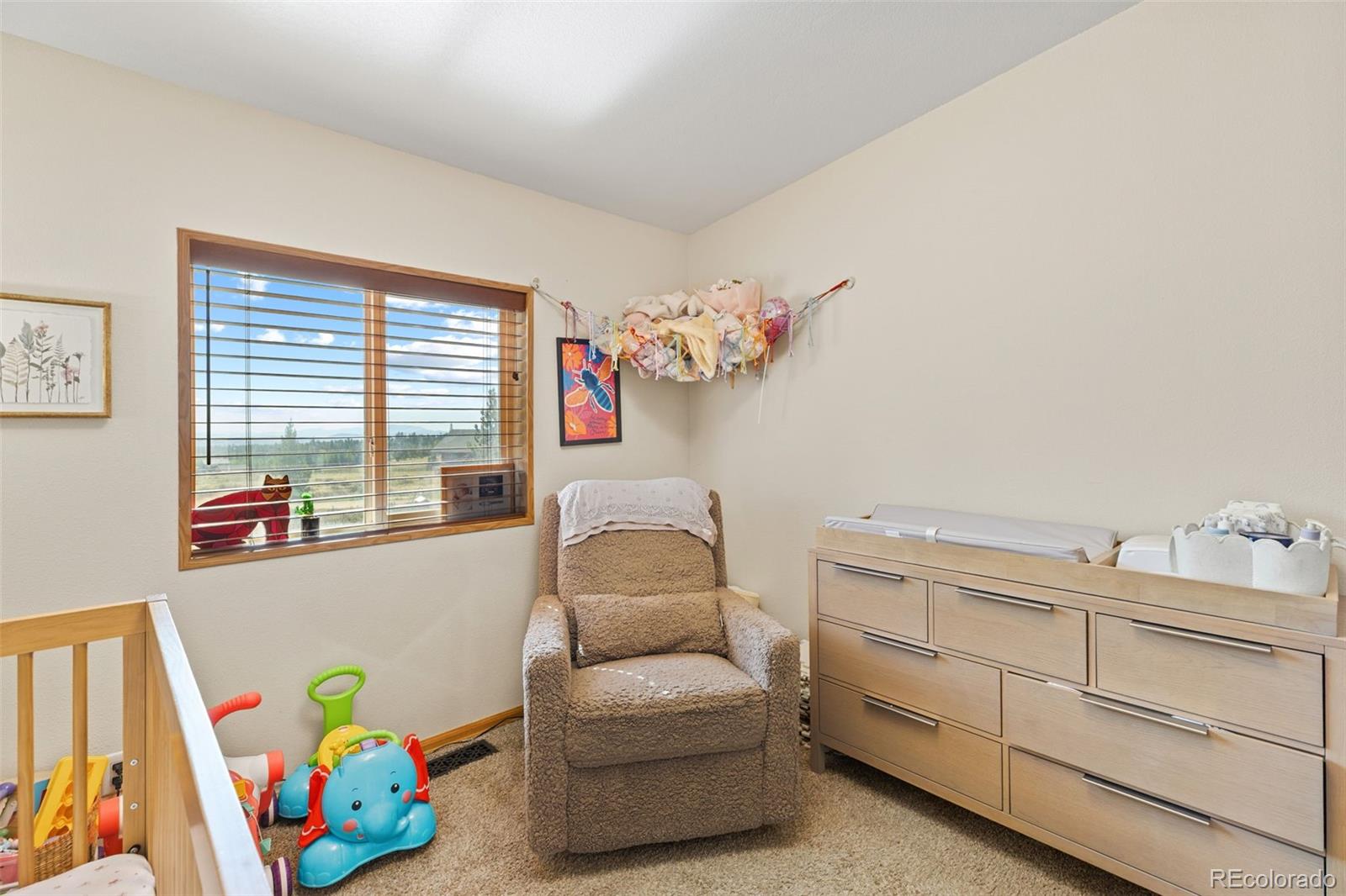 MLS Image #34 for 139  bluestem court,fairplay, Colorado