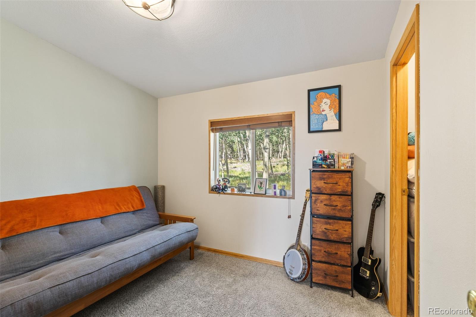 MLS Image #36 for 139  bluestem court,fairplay, Colorado