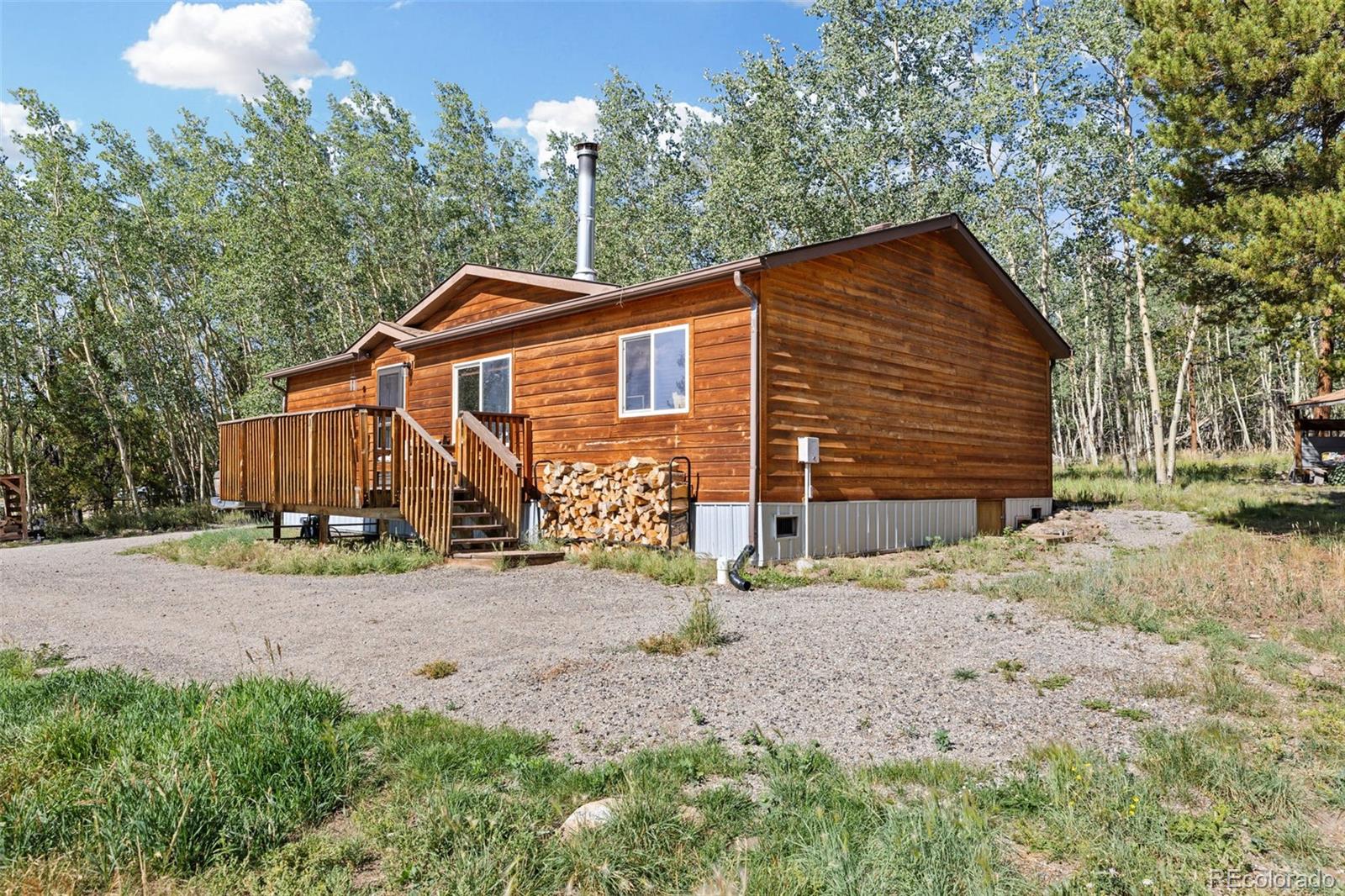 MLS Image #4 for 139  bluestem court,fairplay, Colorado