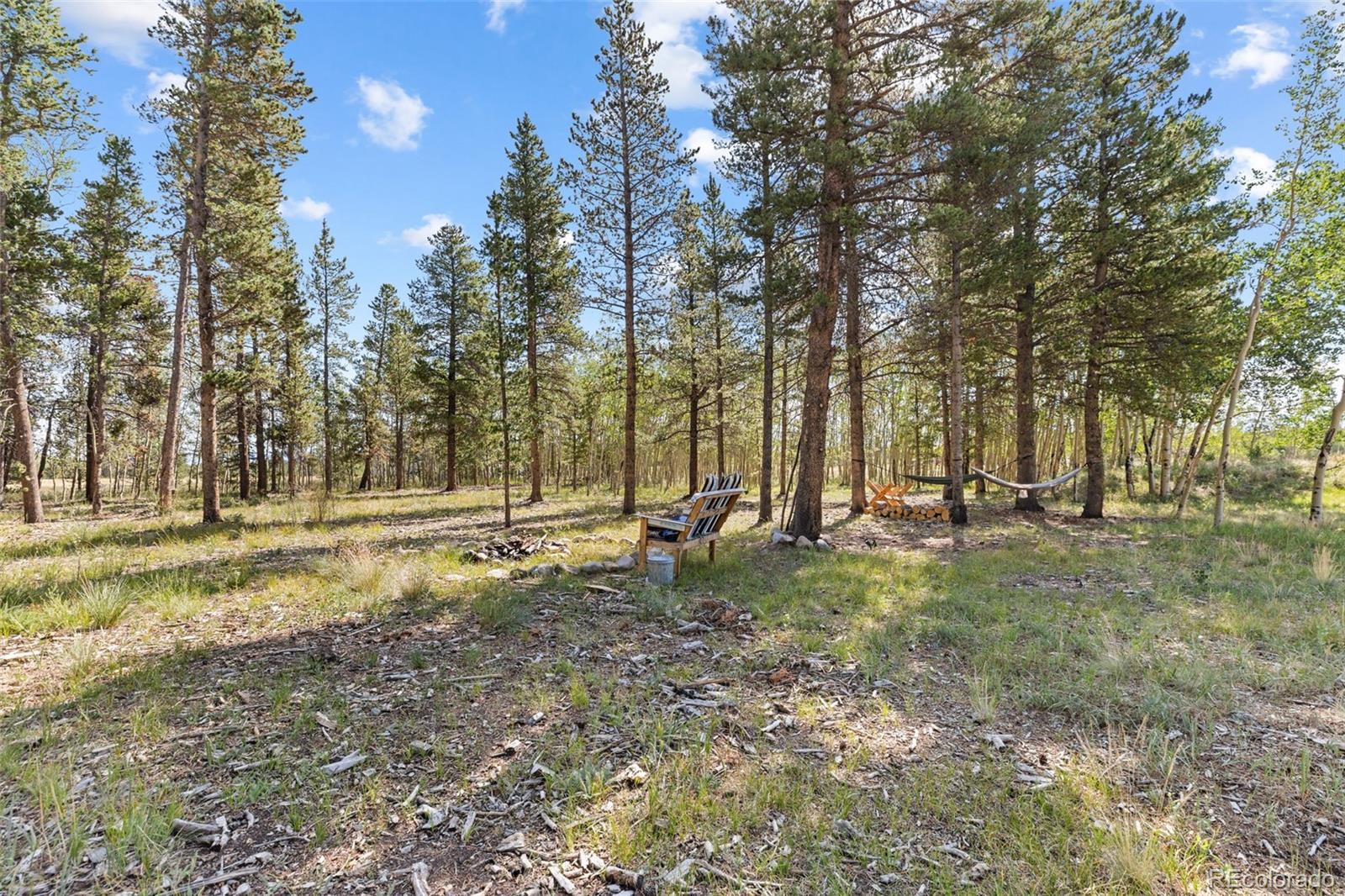 MLS Image #42 for 139  bluestem court,fairplay, Colorado