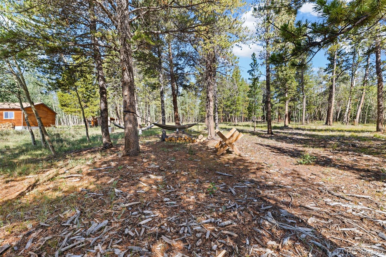 MLS Image #43 for 139  bluestem court,fairplay, Colorado