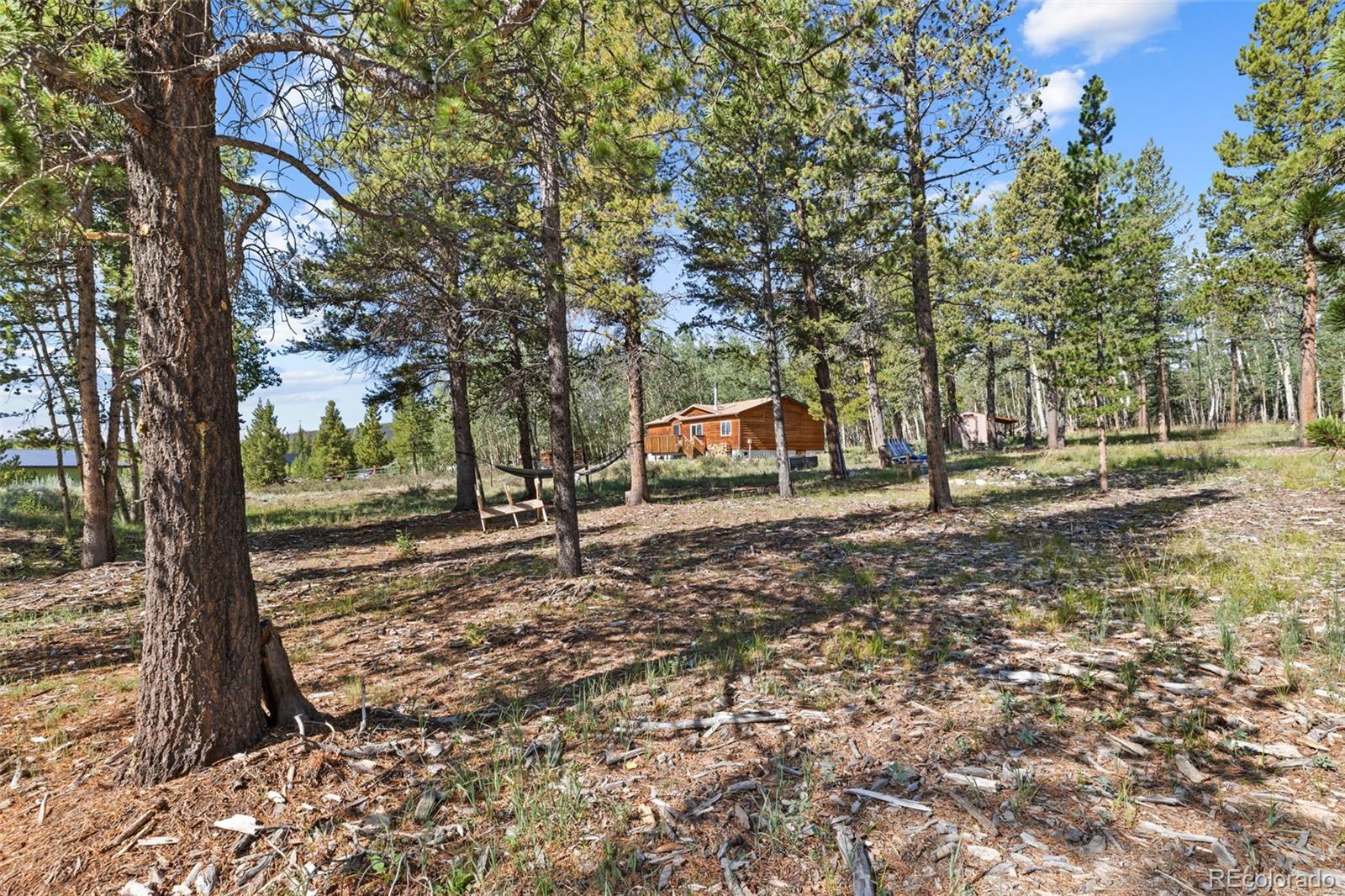 MLS Image #44 for 139  bluestem court,fairplay, Colorado