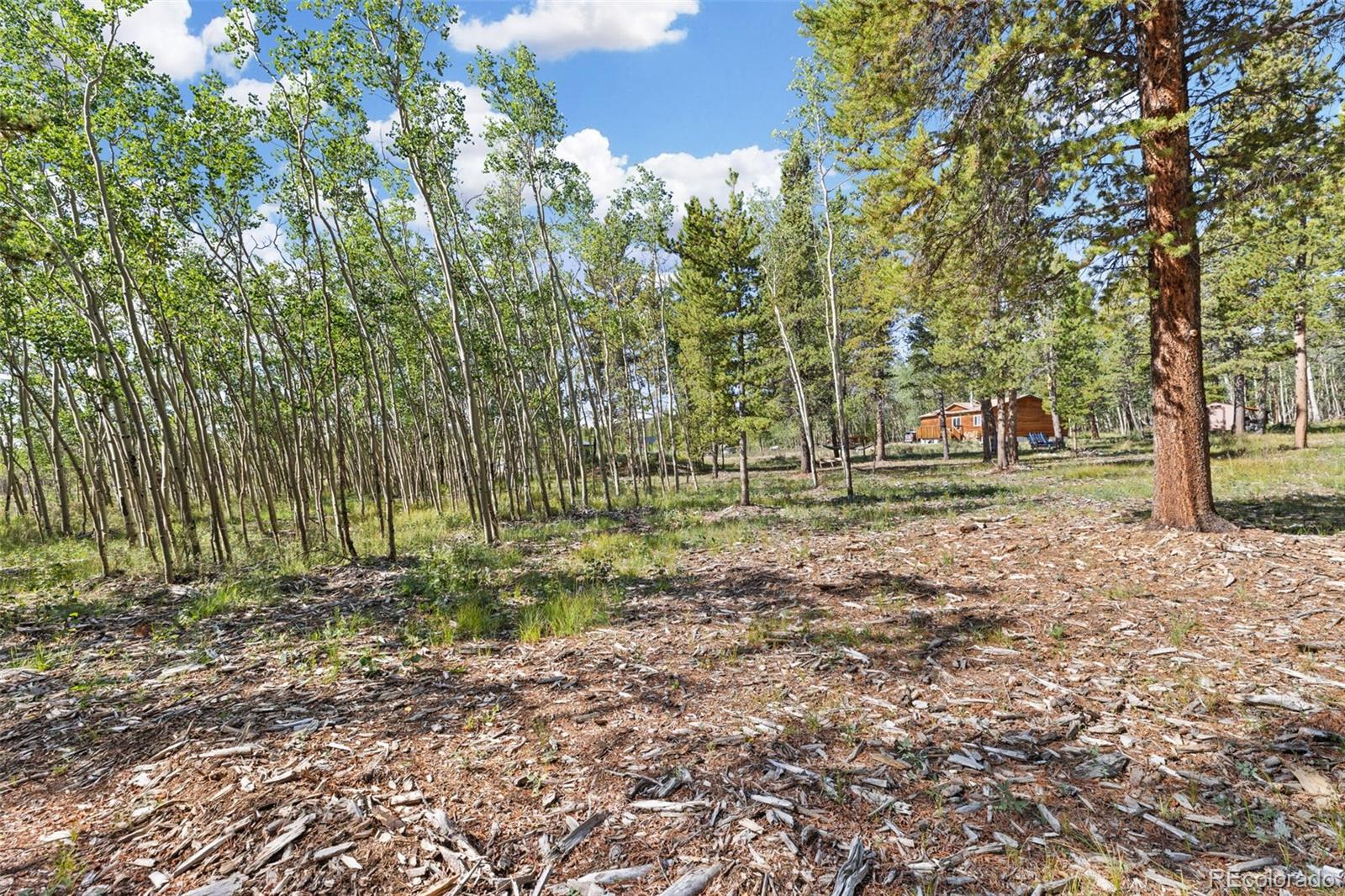 MLS Image #45 for 139  bluestem court,fairplay, Colorado