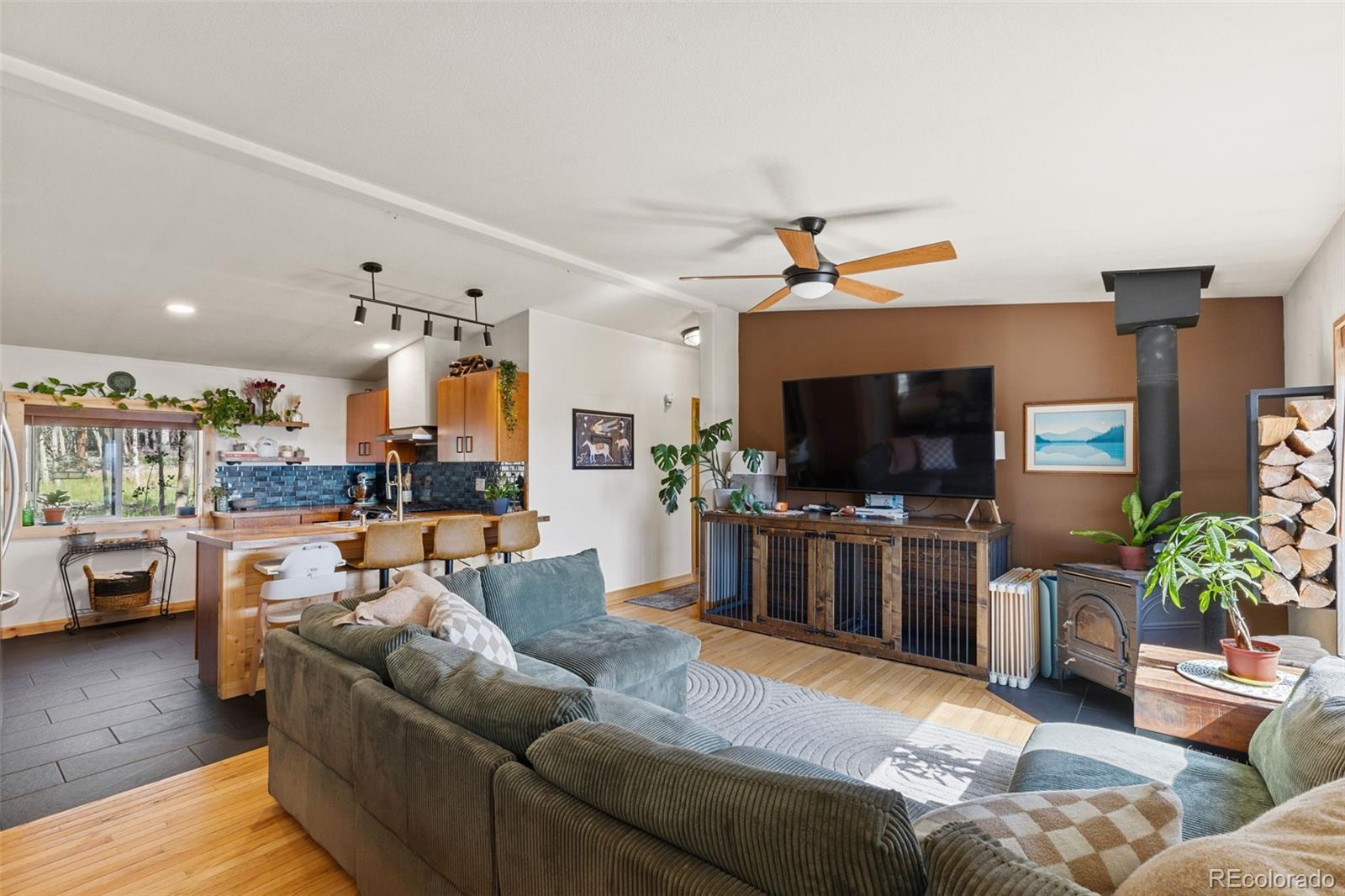 MLS Image #6 for 139  bluestem court,fairplay, Colorado