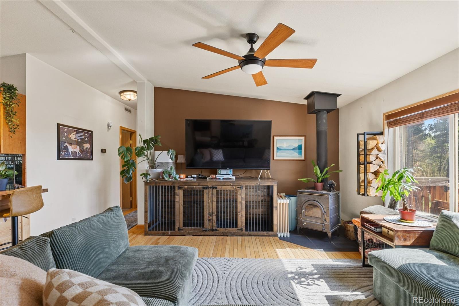 MLS Image #7 for 139  bluestem court,fairplay, Colorado