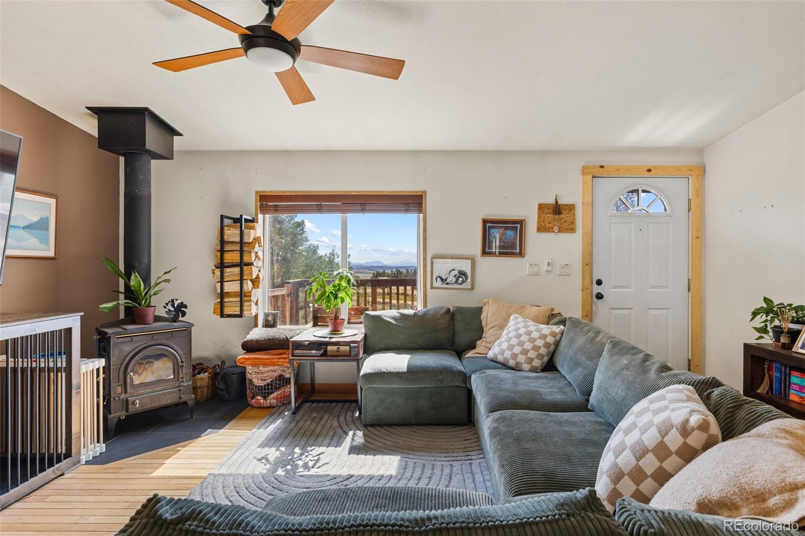 MLS Image #9 for 139  bluestem court,fairplay, Colorado
